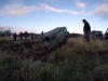 Juletræf 2015 (1)